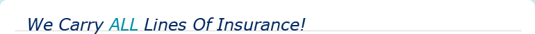 Bay Insurance